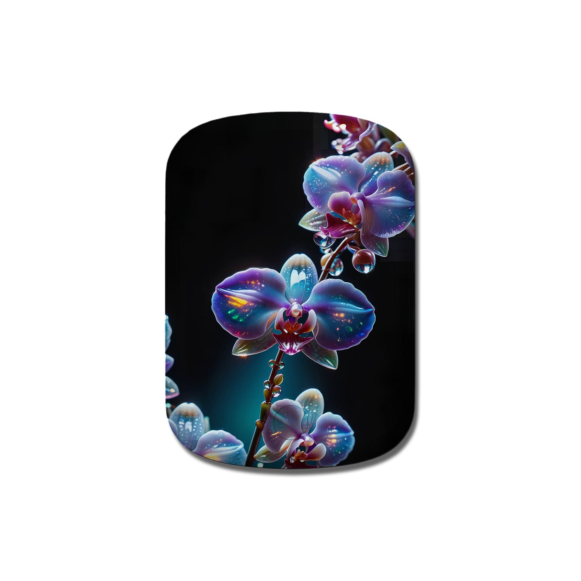 Silent Symphony | Crystal Flower Orchid Power Pack