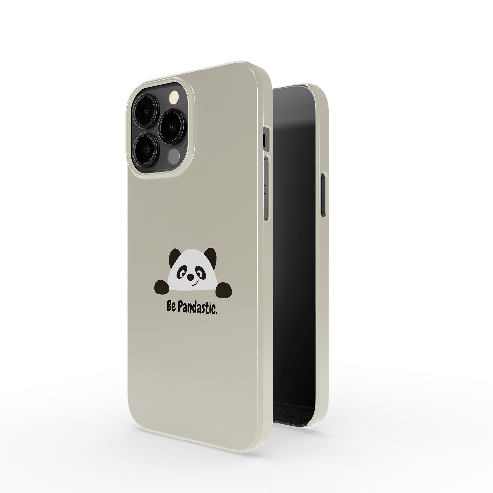 Be Pandatastic | Minimalistic Panda Case Clear for iPhone 13 Pro Max