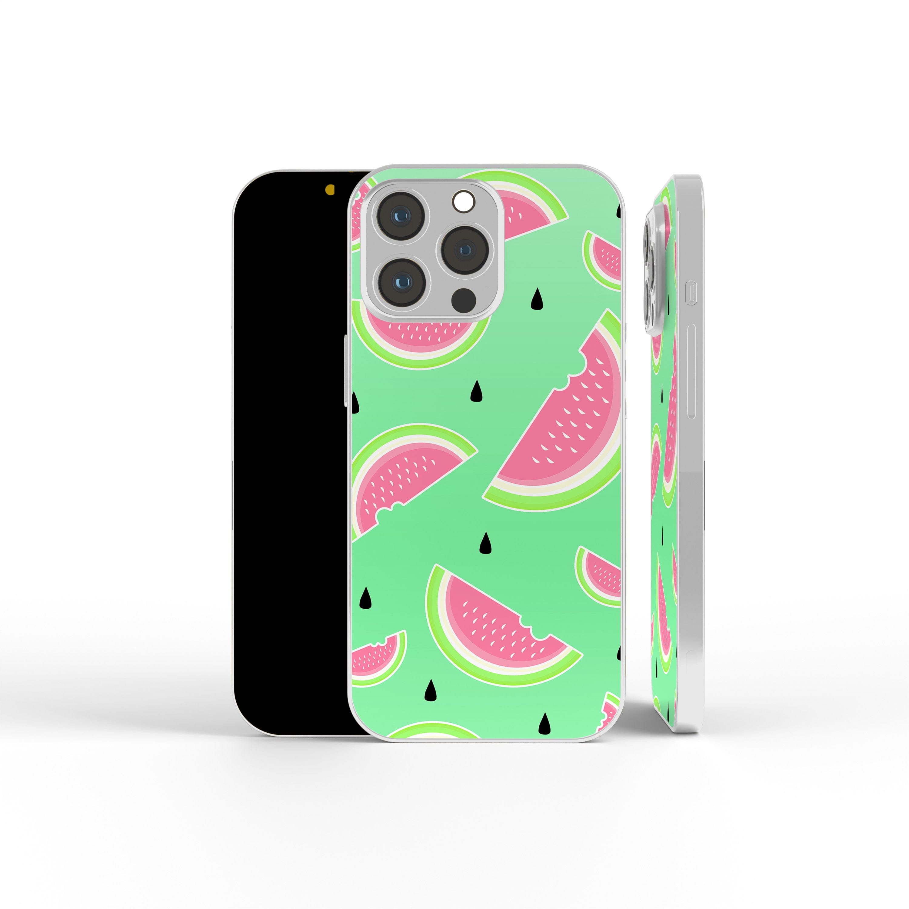 Summer Slice | Watermelon Precious Metals Case in Silver